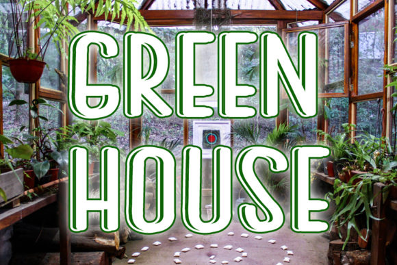 Green House: A Bold Display Font for Web Design