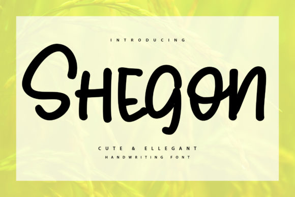 Shegoon: A Bold Display Font for Playful Design Projects